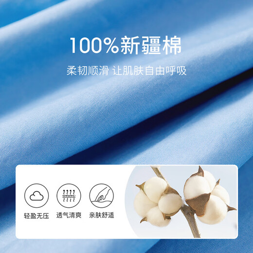 Chandubila 100% Cotton College Style Shirt Women's New Year Comfortable Long Sleeve Top Loose Casual Shirt Blue L