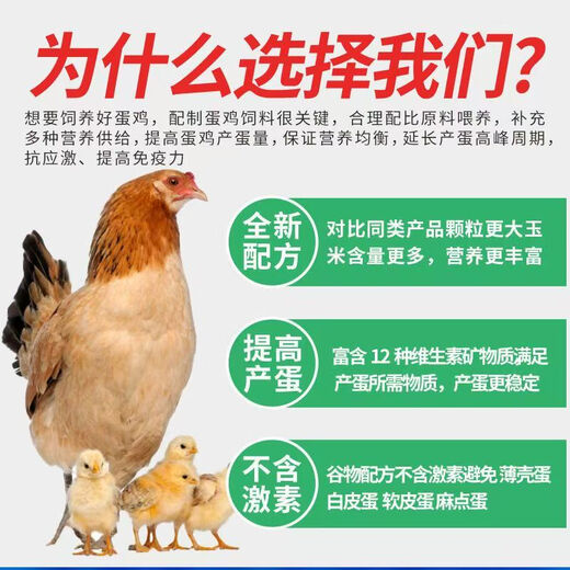 Factory direct sales 80 Jin Jin equal to 0.5 kg layer hen feed for hens, egg laying broiler fattening pellets, full price nesting breeding special 80 Jin Jin equal to 0.5 kg layer hen feed