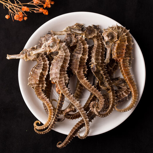 格宁大海马干货中药材配对泡酒煲汤料包小海马批发CN 【公母配对】三斑海马一对约2克