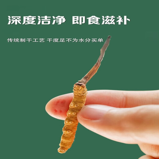 Cordyceps sinensis auténtica caja de regalo Cordyceps con 10 gramos de cordyceps sinensis paquete 50 piezas de ganzi tibetano productos secos Cordyceps Caja de regalo auténtica 3 piezas de cordyceps sinensis un gramo auténtico cordyceps sinensis 10 gramos de genuino cordyceps sinensisisisisisisisisisisisisisisisisisisisisisisisisisisisisisisisisisisisisisisisisisisisisisisisisisisisisisdinensisisisisisisisisisisisisisisisisdissisisisisisisisisisisdes
