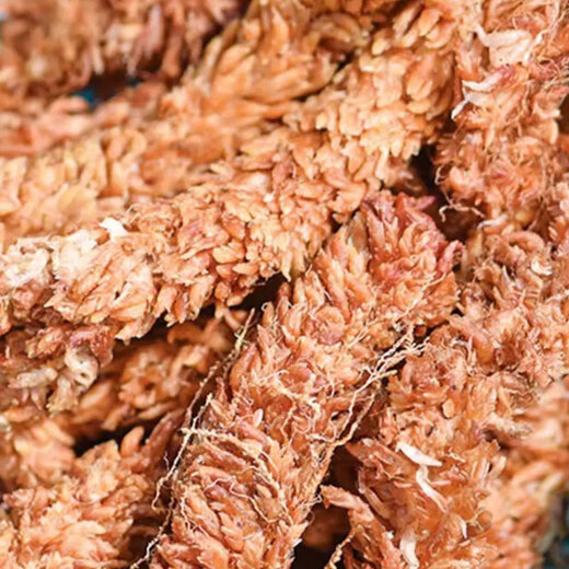 Devo caterpillar sphagnum moss for Phalaenopsis planting special potted gardening soil moss turtle reptile high-quality mat material