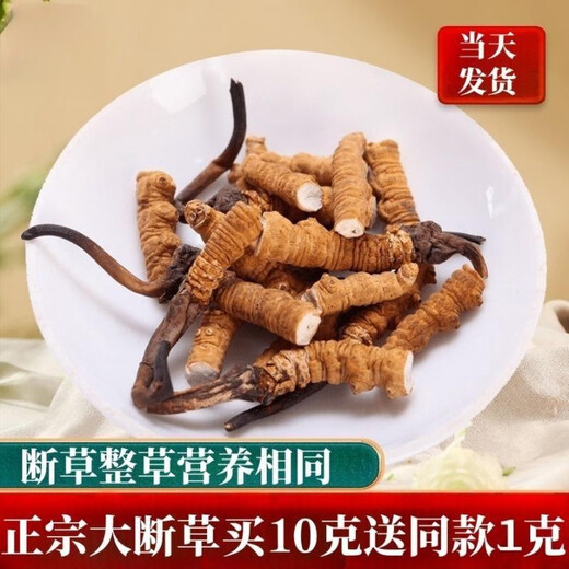 正宗藏曲冬虫夏草虫草断草10克送1克自用家庭装超级断草干货自食 藏区纯肉节大断草20克送2克