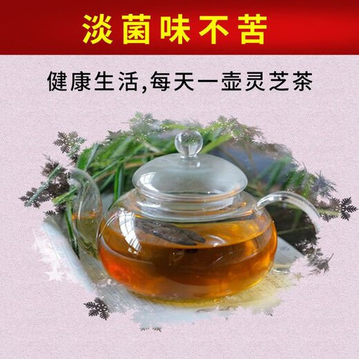 Fat Donglai's same style wild Ganoderma pure natural purple Ganoderma wild L raw mountain natural non-bitter pruned branch with spore powder 500 grams Ganoderma 10-16 pcs