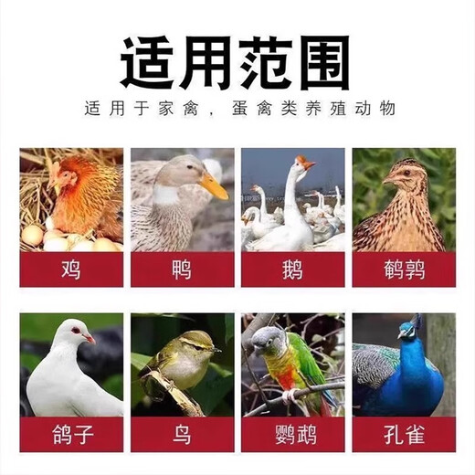 Huazhu hens special medicine for laying soft eggs, chickens, ducks, geese and poultry general sand shell egg deformity calcium supplement growth promotion feed additive in one bottle to say goodbye to soft eggs