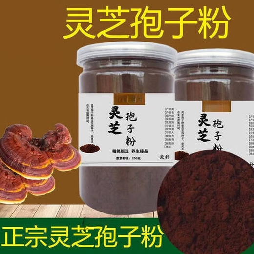Matières premières de Pékin Tongrentang Ganoderma Lucidum Spore Powder Head Dou Break Wall Ganoderma Lucidum Powner Authentic Spore Huile 500G 100G GANODERMA LUCIDE LUCID