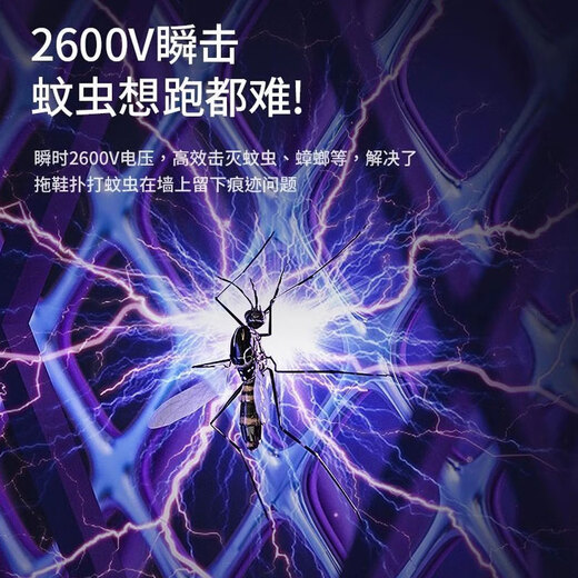 2025 New Electric Mosquito Swatter Rechargeable Home Mosquito Killer Lamp 2-in-1 Mosquito Repellent 2-in-1 Standard Version Comes with Fast Charging Cable + Base_ No More Mosquito Disturbance
