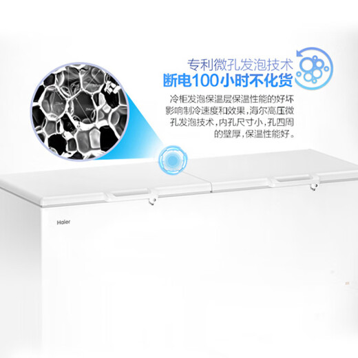 海尔（Haier）冰柜商用大容量500升以上卧式冷藏冷冻柜换带锁家用深冷速冻冰柜超低温双开门 可装1200斤肉【冰雪白高性价比大容量】 829L