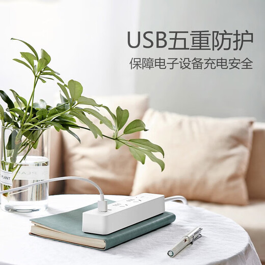 公牛（BULL）（BULL）插座多功能USB多孔充电插板家用带线插排20W快充插接线板 20W2C口+1usb+6插1.8米 U12033
