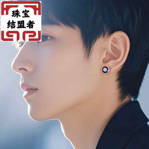 Allied partner YUKI men's sterling silver earrings blue gemstone inlaid with crystal personality handsome European and American couple light luxury original design BII price for two small size 6mm. Tanzanite blue