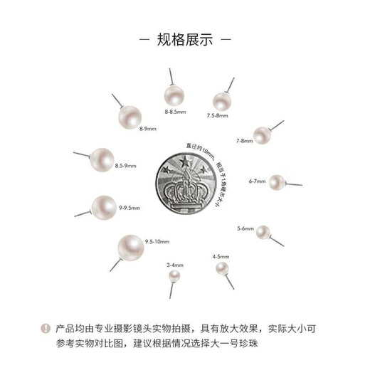 Jingrun Pearl Earrings Light Wish Freshwater Pearl 925 Silver Stud Earrings Feminine and High-end Niche Birthday Gift for Girlfriend