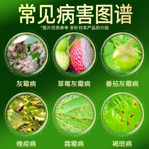 Hulian Plant Protection Huifei 40% pyrimethanol and pyrimidinium ammonium cucumber, vegetable, fruit tree and flower gray mold special medicine, pesticide and fungicide