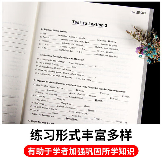 【新华正版】新求精德语语法精解与练习 修订版 德语入门自学教材 新求精德语强化教程中级2(教材+