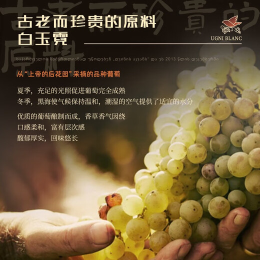 督格拉泽格鲁吉亚原瓶进口白兰地诞生地洋酒调酒基酒烈酒三星700mL1瓶