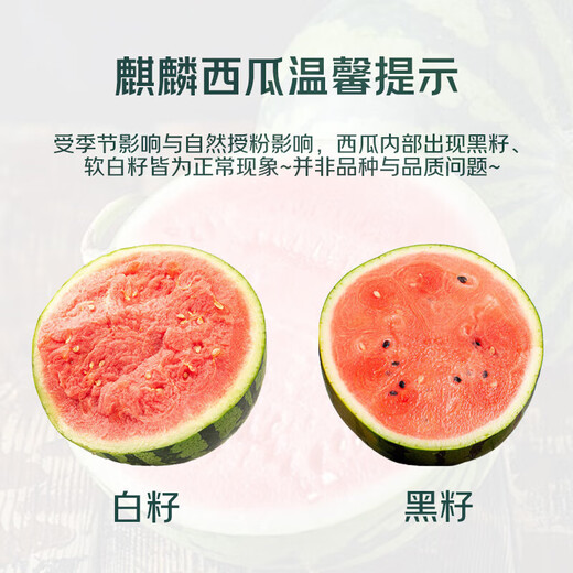 【产地直采】麒麟奶油西瓜 约5.5kg