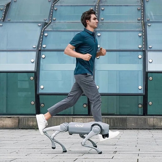 Yushu (Unitree) Unitreego2 Voice ai großer Modell Roboter Hund Go2 Elektronischer Hund Bionische Begleiter Roboter Go2-pro+ Fernbedienung