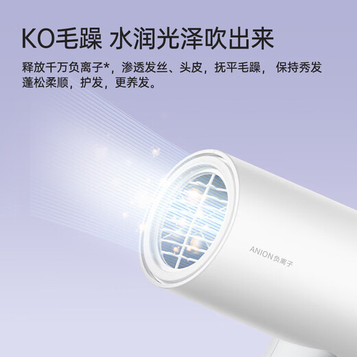 【飞丶科】电吹风机便携家用宿舍学生大功率吹风筒速干可折叠送女友 【1800W速干】负离子FH62 飞科【2000W大功率】FH6231配集风嘴