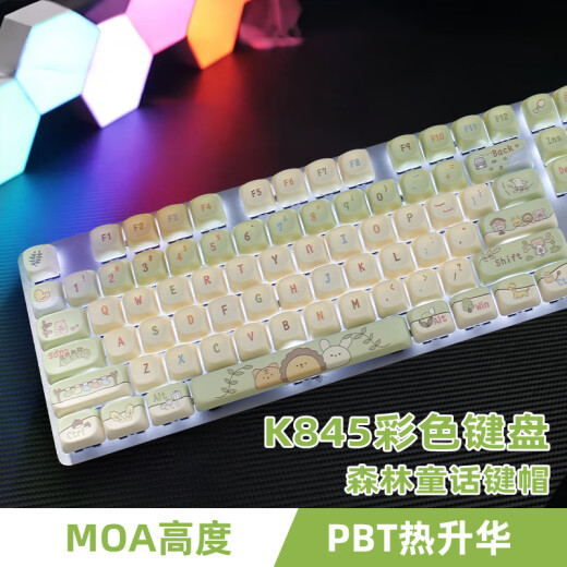 罗技（Logitech） K845有线游戏机械键盘104键DIY彩色键帽 电竞键盘吃鸡 背光金属面板 K845森林童话-青轴