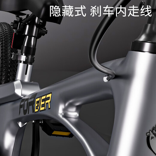 Forever children's bicycle for big children 6-12 years old magnesium alloy variable speed mountain bike for boys and girls student bike 22 inches silver