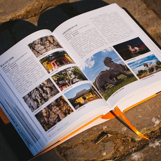 有生之年一定要看的1001个中国古迹（典藏级全民文旅路书，写给每个中国人的理想访古清单，沉浸式畅游中华百万年历史长河！）