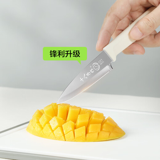 Shibazi writer's fruit knife paring knife stainless steel outdoor portable knife peeler cream fruit knife with sheath