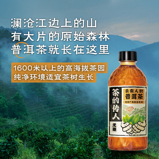Maestro Kong el sucesor del té Yunnan Pu'er Tea (Pu'er de naranja verde) 330ml*12 botellas