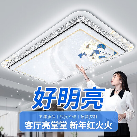 欧普照明2025新款客厅灯简约现代大气led主吸顶灯具 12176厘米192瓦APP+语音+遥控控