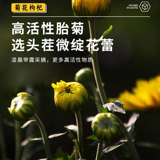 养益君菊花枸杞茶120g（12小袋）熬夜茶上火肝旺茶护养清火养生茶
