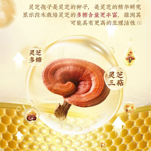 Beijing Tongrentang Ganoderma spore powder Broken Ganoderma spore powder for middle-aged and elderly adults 30 bags/box