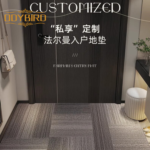 德国工艺入户门地垫高级感进门门口脚垫防滑入门门外门垫玄关地毯 灰颜-15271 120cm*120cm