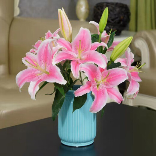 Perfume lilies multi-headed flower bouquets wholesale Yunnan Kunming base freshly picked straight hair water to grow real flowers 10 pink perfume lilies Free flower preservative when placing an order