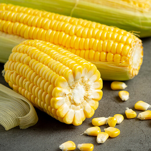 Good Farmer Baocai Shandong Fresh Fruit Corn Single Root 275g + Fresh, Sweet and Juicy 4-7 Roots Net Weight 4.6 Jin Jin equals 0.5 kg Straight from the source