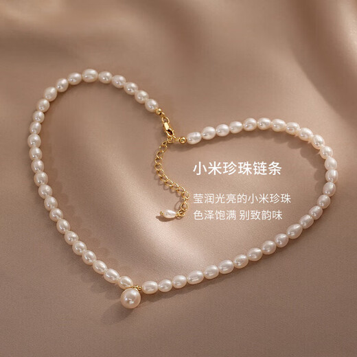 COULN KIN Freshwater Pearl Necklace Young Women Fashion Light Luxurious New Pendant Birthday Valentine's Day Gift for Girlfriend Simple Freshwater Pearl Necklace