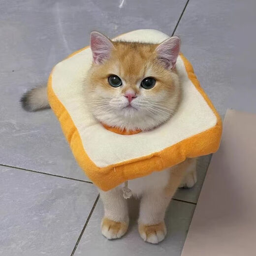 Juke high-end Elizabethan cat pet headgear, anti-licking neck collar, anti-biting, neutered dog soft shame circle puppet, glutinous toast, soft with drawstring, M size, recommended 4-8 Jin Jin equals 0.5 kg