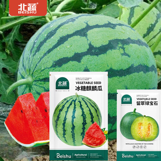 Northern Vegetable Kirin Watermelon Seed New Varieties Lazy Man Southern Meidu Watermelon Seed Rock Sugar Kirin Melon Seed 50 capsules + Emerald 60 capsules