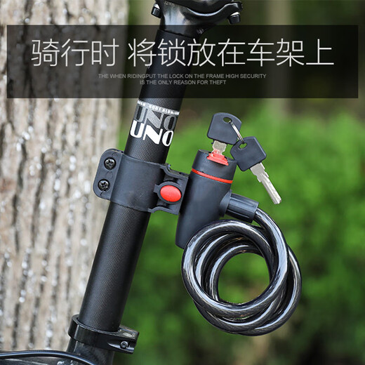 飞鸽 自行车骑行装备配件山地车防盗锁便携式密码钢缆丝链子密码锁 圈圈钥匙锁【0.4米】