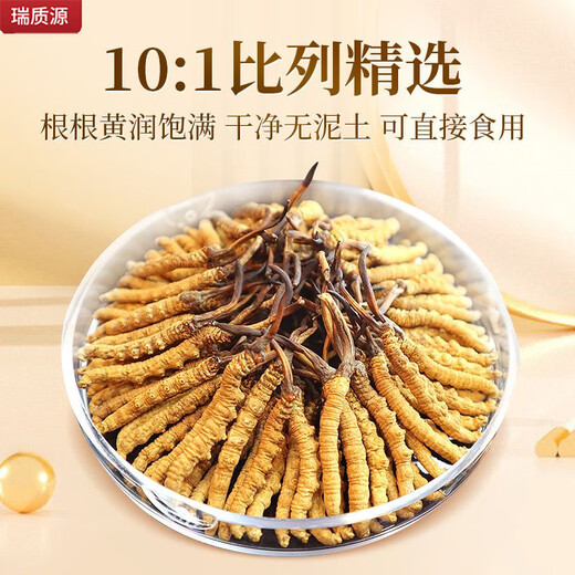 Ruizhiyuan genuine guaranteed Cordyceps nourishing health high-altitude source gift box for parents and elders [5 grams gift box] Genuine nourishing dried cordyceps 24 roots