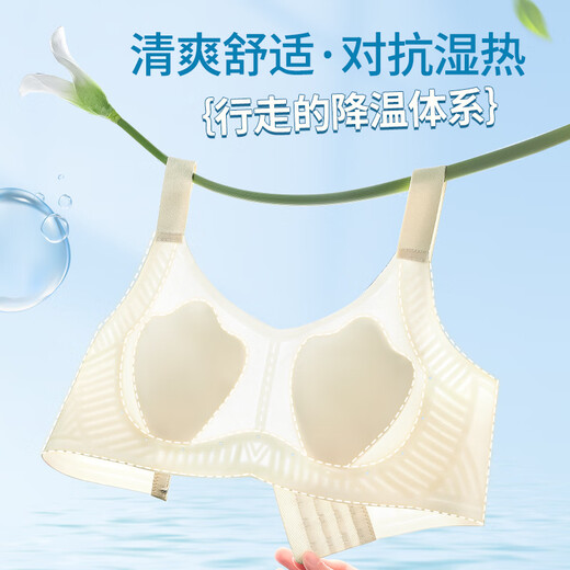莫代尔内衣女夏季薄款大胸显小胸无痕凉感软支撑收副乳防下垂猫爪杯文胸 浅紫 M 105斤以下32/7034/75ABC