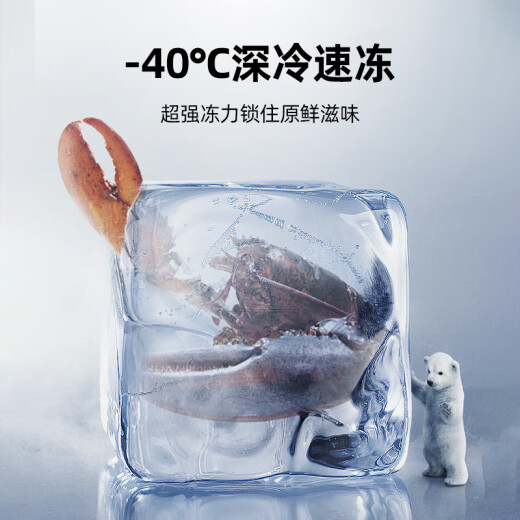 星星（XINGX）冰柜商用大容量冷柜500升以上冷藏冷冻两用冰柜双开门卧式冰箱雪糕柜超市便利店商用冰柜 1.9米718升丨-40℃除霜 1级能效728GE