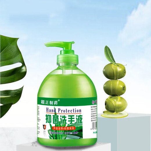 Chaozheng Pharmaceutical Fragrance Antibacterial Hand Sanitizer 500g Clean and Moisturizing Children's Home Pack - Aloe Vera Hand Sanitizer 500ml*1