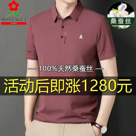 梦特娇（MONTAGUT）翻领短袖男保罗衫t恤官网pollo衫男装夏装新款冰丝体恤衫 6188上青 M 165/M建议120斤以内