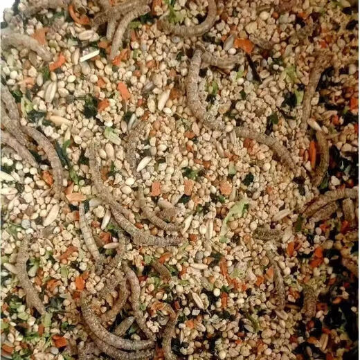 Special feed for rutin chicken, rutin chicken egg production feed, mealworm brooding feed, quail feed, high protein 3Jin Jin is equal to 0.5 kg, egg production food containing mealworms, dried vegetables