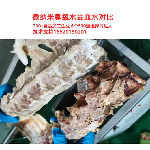 Xiaodaren micro-nano bubble generator ozone water machine food factory cleaning, sterilization, fishy and odor removal, bleaching, decolorization and blood removal, pesticide residue, aquatic products and seafood micro-nano ozone water intention model