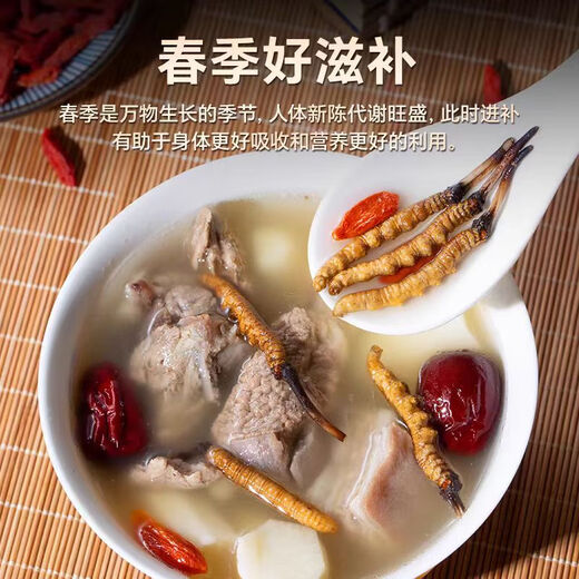 
Zangzhiweng High-altitude Cordyceps sinensis Selected First Stubble Dried Cordyceps High-end Nutrition Gift Box for Elders to Leaders to Customers 4 Rods/Gaze Total 50 grams [Healthy and Nutrition, Reliable Quality]