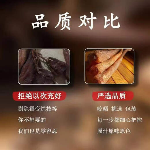 【1283人收藏】藏雪参雪人参雪参无添加煲汤泡酒大条正宗原产中药 天然藏雪参100.89克