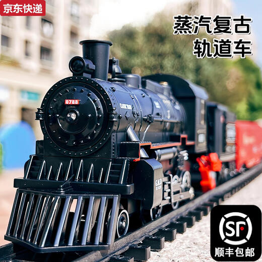两雪儿童小火车玩具轨道车电动遥控停车场高级蒸汽模型仿真高铁男孩子 珍藏电动版双圆轨-合金蒸汽