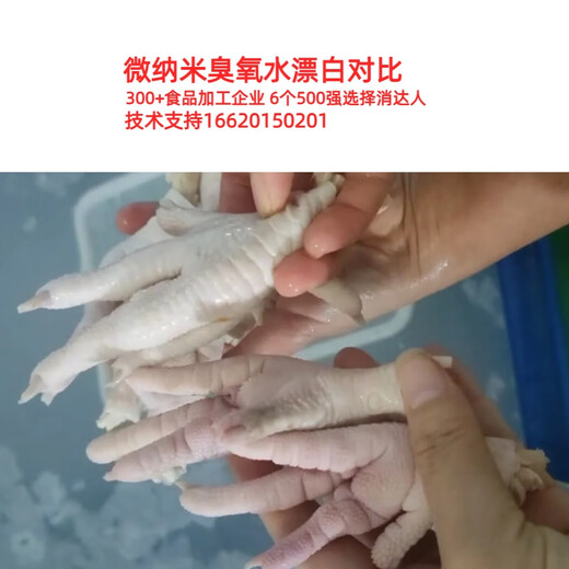 Xiaodaren micro-nano bubble generator ozone water machine food factory cleaning, sterilization, fishy and odor removal, bleaching, decolorization and blood removal, pesticide residue, aquatic products and seafood micro-nano ozone water intention model