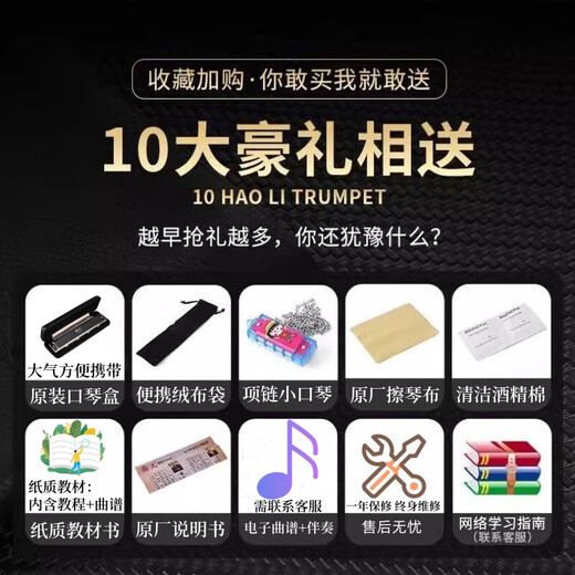 国光德国进口音簧国光口琴复音专业演奏级重音C调初学者入门乐器送礼 28孔C调重音【专业演奏级】