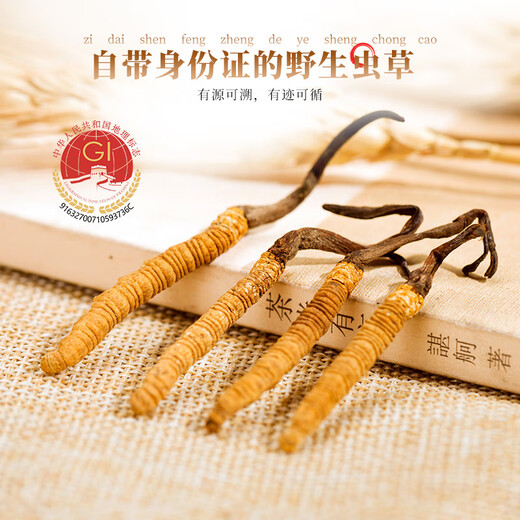 
Cordyceps sinensis wild cordyceps in Sanjiangyuan Cordyceps sinensis Qinghai Yushu Cordyceps sinensis high-altitude Cordyceps sinensis Qinghai Cordyceps sinensis head period 5 pieces per gram