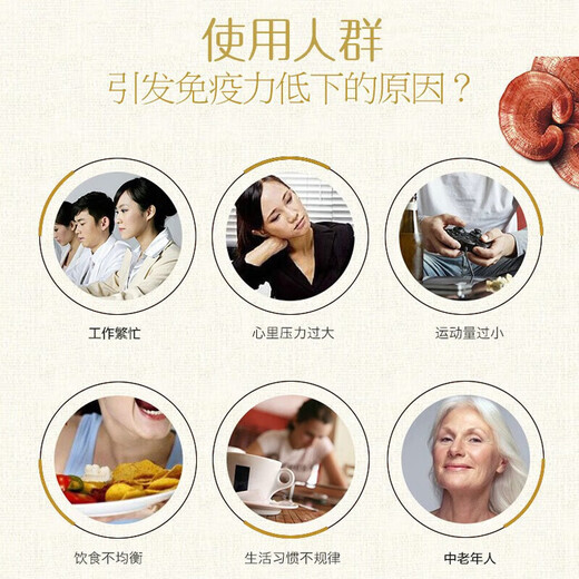 修正破壁灵芝孢子粉胶囊 灵芝破壁孢子粉增强免疫力成人术后滋补营养 1盒*60g/60袋【礼袋装】