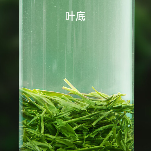 JD.com 2025 New Tea Mingqian Maojian Green Tea Tea Spring Tea Sprouts in bulk Drink OCC250g Gift Bag
